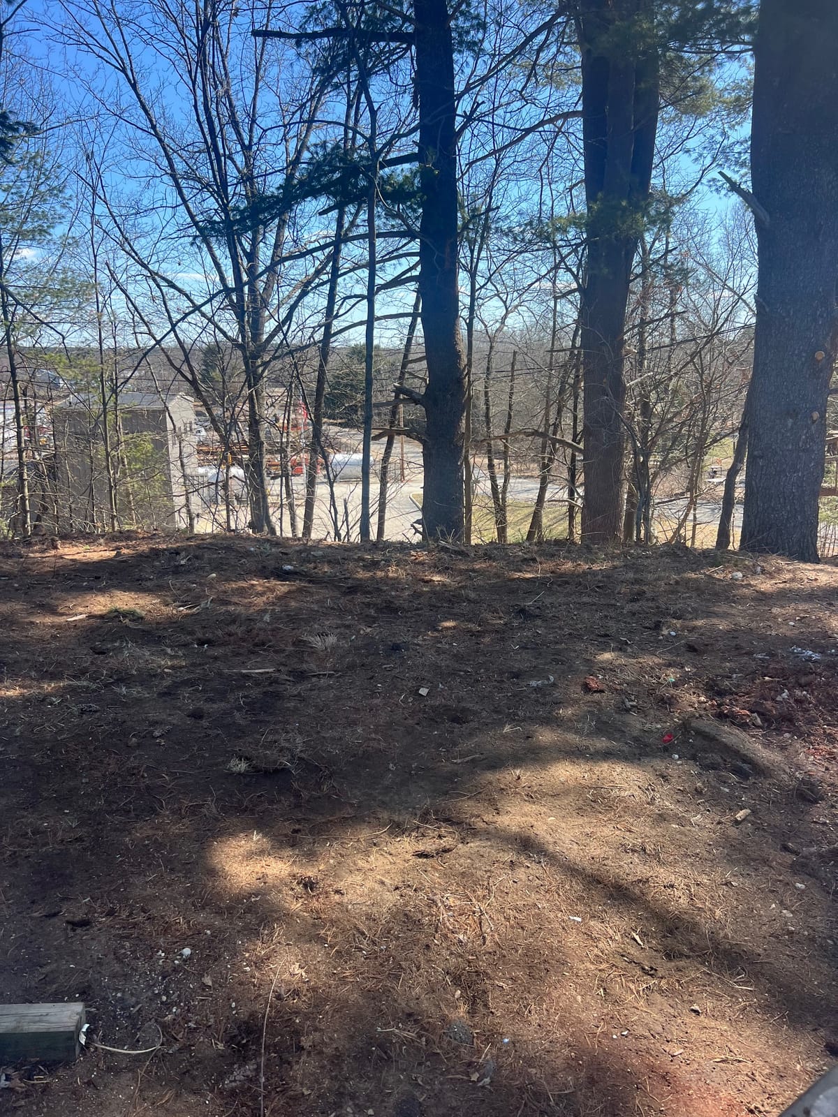 After: wooded waterfront lot strewn with debris and a tarp, then cleared to open ground