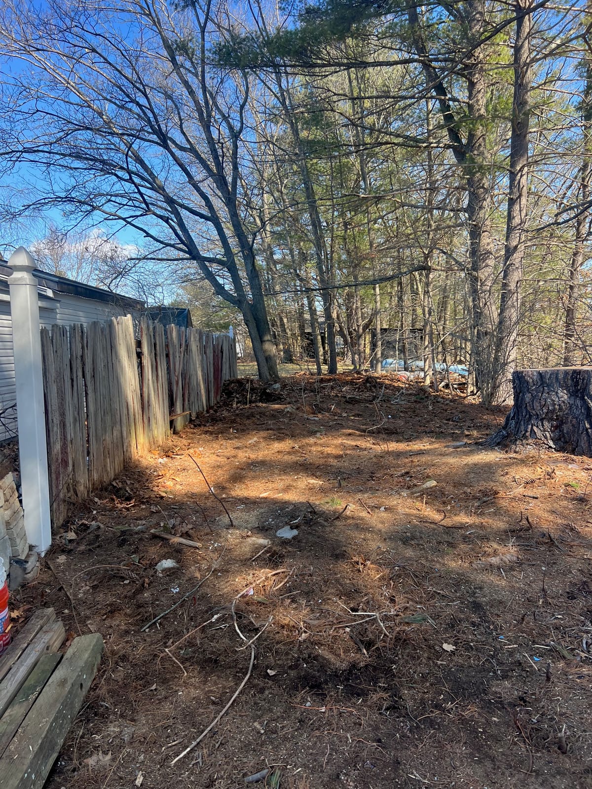 After: lakeside walkway buried in brush and debris, then cleared and open
