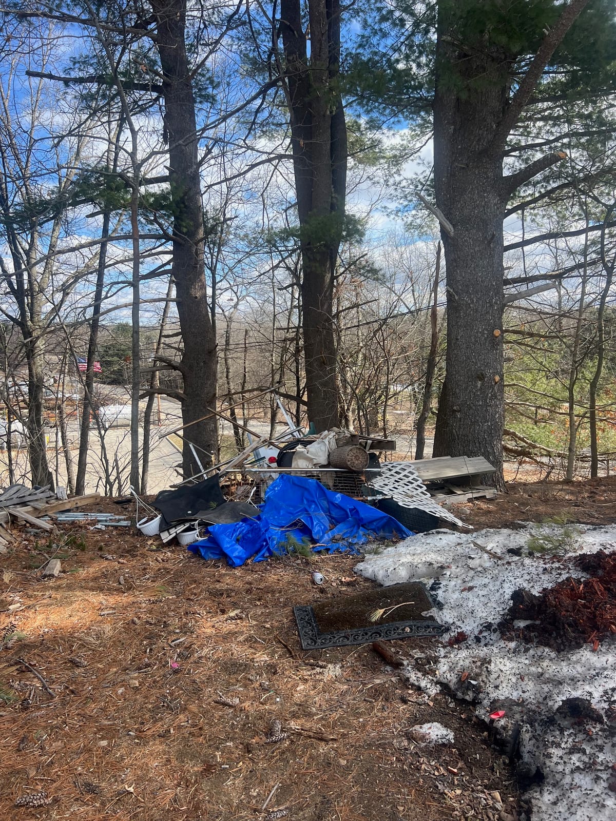 Before: wooded waterfront lot strewn with debris and a tarp, then cleared to open ground